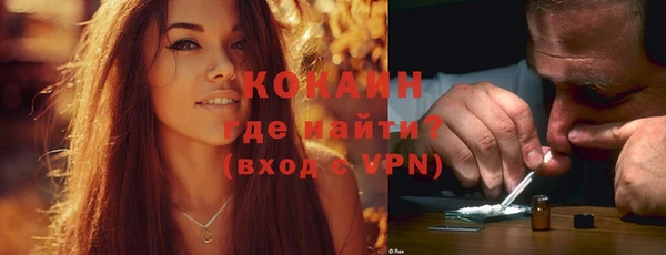 твердый Абаза