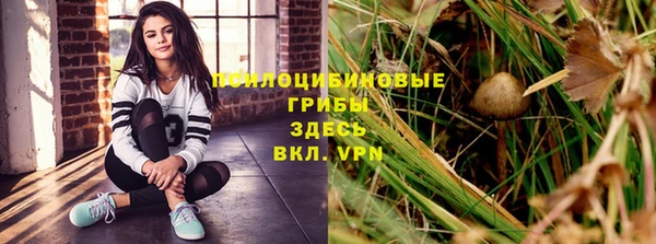 Альфа ПВП Нея