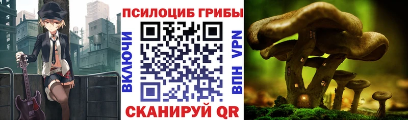 блэк спрут сайт  Фурманов  Галлюциногенные грибы Cubensis 