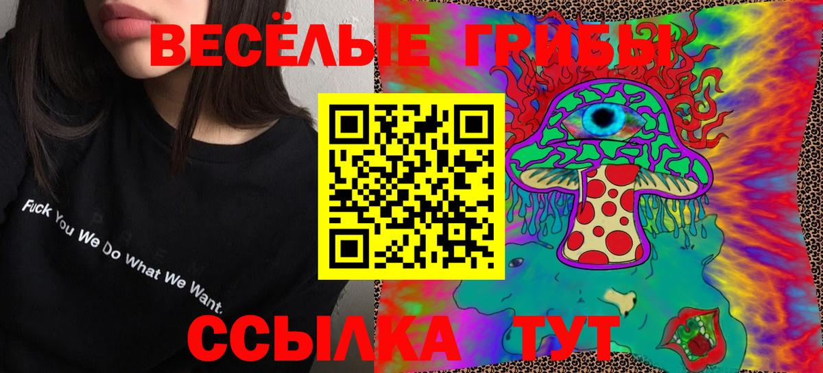 Галлюциногенные грибы Psilocybe Фурманов