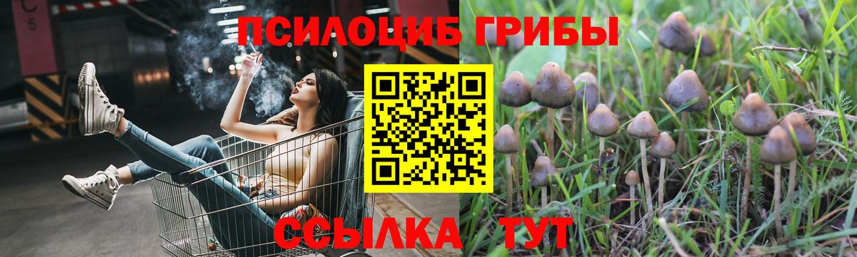 Псилоцибиновые грибы прущие грибы  Псилоцибиновые грибы MAGIC MUSHROOMS  Фурманов  Вход с VPN 